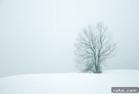 Could Humans Survive a Nuclear Winter? What Science Says