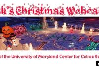 Christmas Lights Fundraiser Supporting Celiac Disease Research
