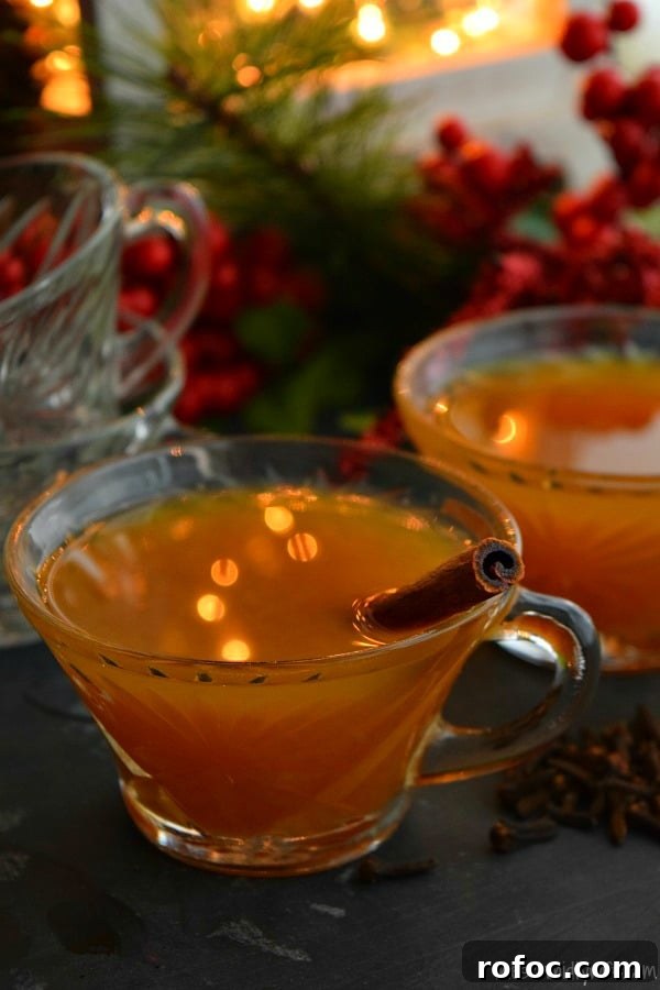 Slow-Cooker Christmas Wassail Recipe for Festive Parties 13 two cups of Crockpot Christmas Wassail with cinnamon sticks