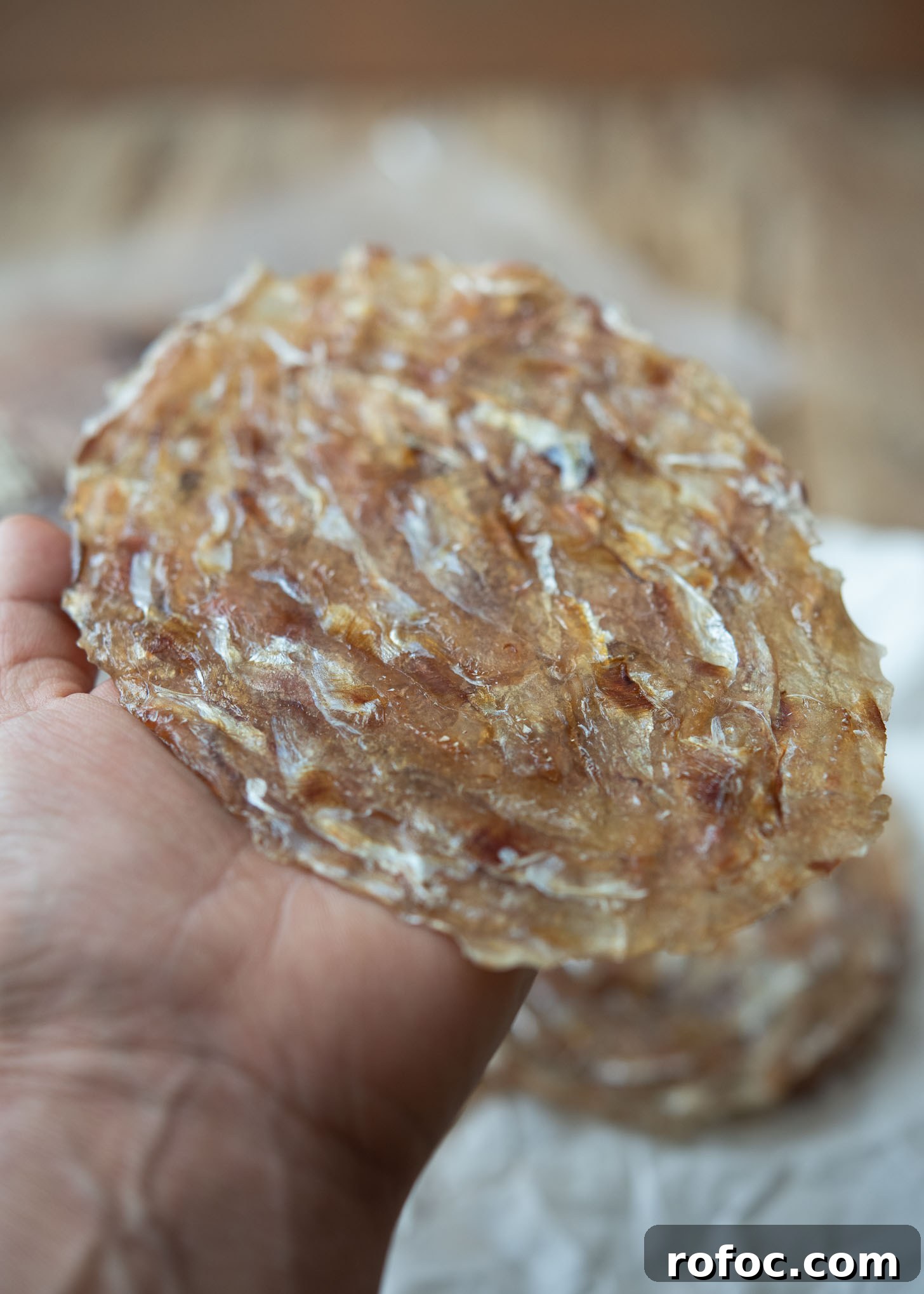 Korean-Style Jwipo Fish Jerky: Spicy Dried Fish Snack Guide 3 A piece of dried filefish is placed on hand.