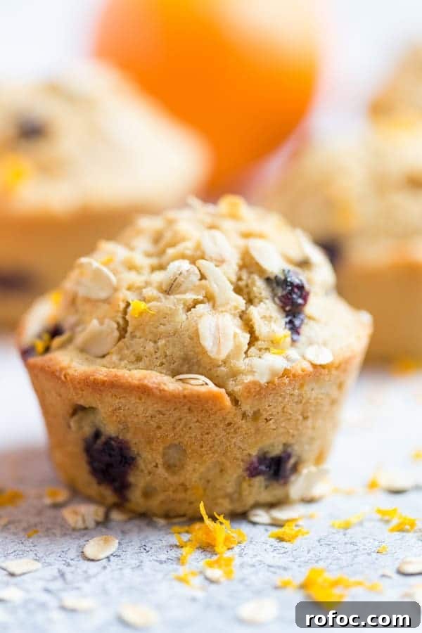 Blueberry Orange Oat Muffins Recipe — Moist Whole Grain Muffins 2 Blueberry Orange Oat Muffins Closeup on the Tasty Muffin with Other Muffins and Orange Blurred in the Back