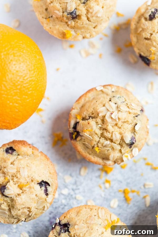 Blueberry Orange Oat Muffins Recipe — Moist Whole Grain Muffins 3 Blueberry Orange Oat Muffins with a Big Fat Orange on the Left Side of the Frame