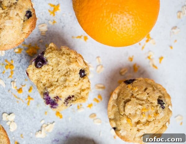 Blueberry Orange Oat Muffins Recipe — Moist Whole Grain Muffins 4 Blueberry Orange Oat Muffins Overhead on the Muffins and a Big Orange