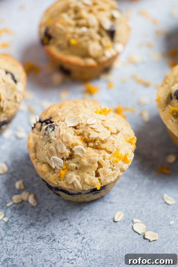Blueberry Orange Oat Muffins Recipe — Moist Whole Grain Muffins 5 Blueberry Orange Oat Muffins Shot from the Top with a Bit of an Angle and Oats Around on the Table