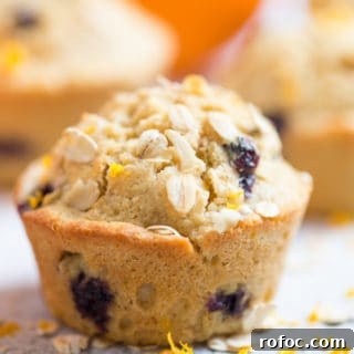 Blueberry Orange Oat Muffins Closeup on the Tasty Muffin with Other Muffins and Orange Blurred in the Back