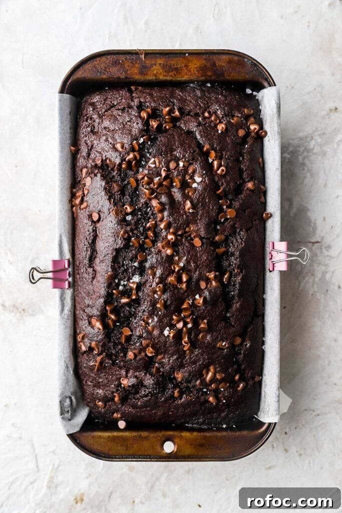 Decadent Chocolate Banana Bread Recipe with Melted Chips 10 chocolate banana bread with mini chocolate chips on top