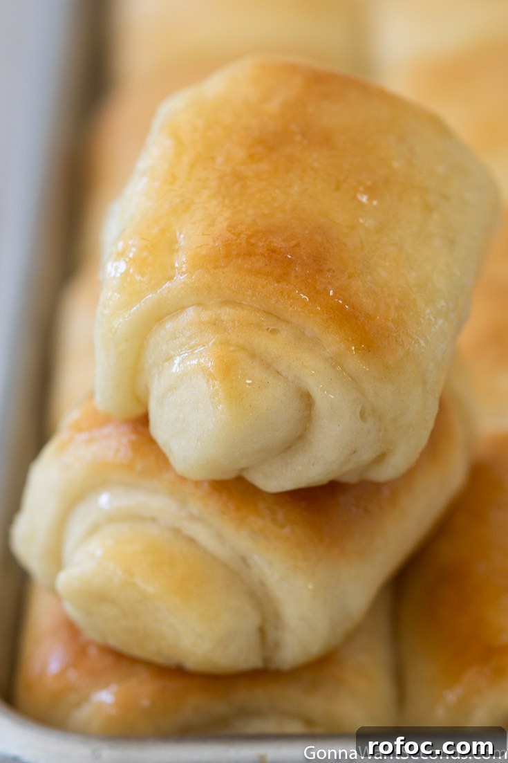 These lion house rolls are tender, soft, and lusciously buttery. They just may be the BEST homemade dinner rolls and they're always a family favorite! #dinnerrolls #breadrecipes #lionhouserolls lion house rolls stack on top of each other