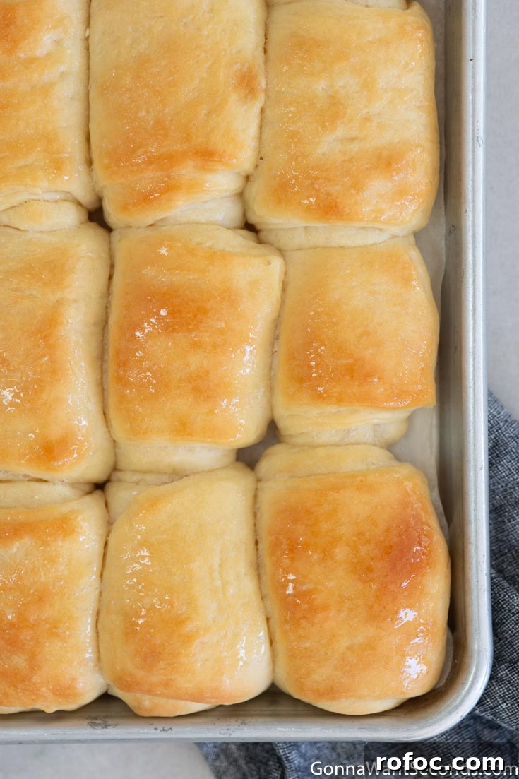 These lion house rolls are tender, soft, and lusciously buttery. They just may be the BEST homemade dinner rolls and they're always a family favorite! #dinnerrolls #breadrecipes #lionhouserolls lion house dinner rolls on a baking sheet