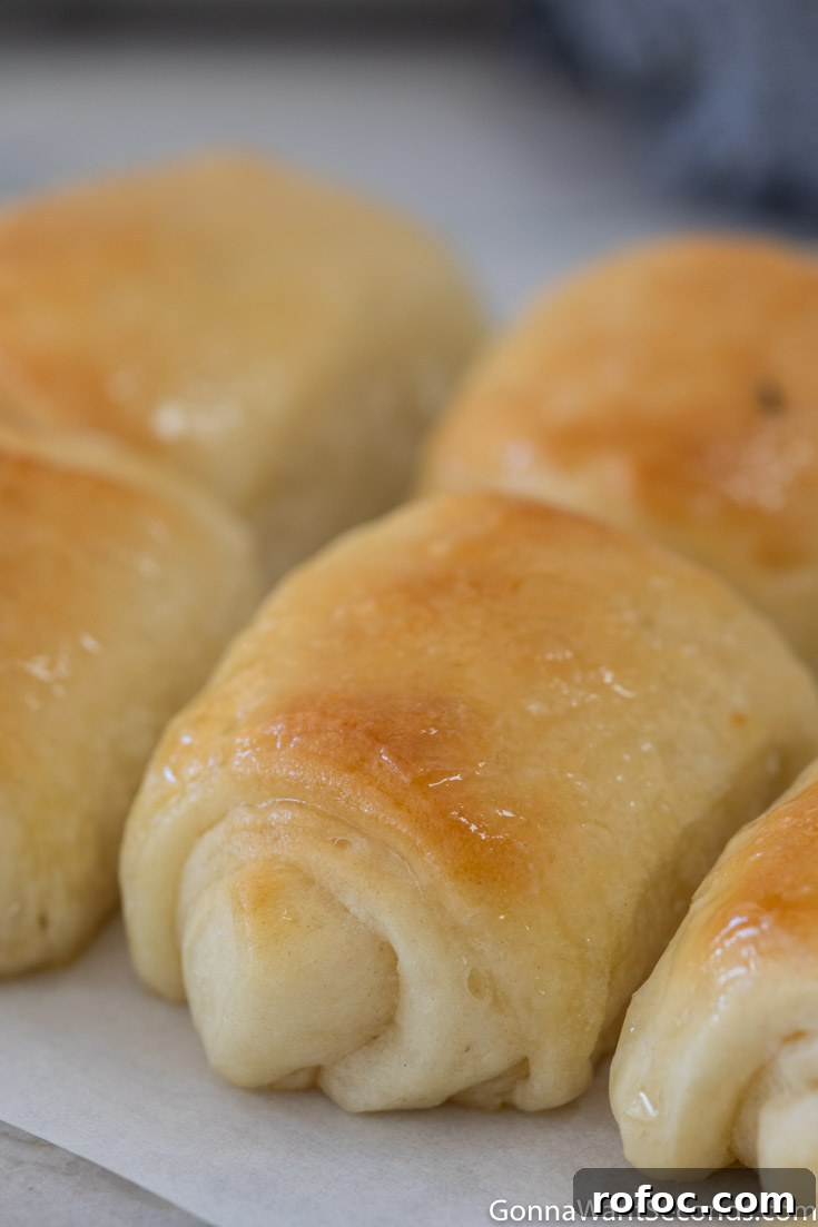 These lion house rolls are tender, soft, and lusciously buttery. They just may be the BEST homemade dinner rolls and they're always a family favorite! #dinnerrolls #breadrecipes #lionhouserolls lion house rolls, close up