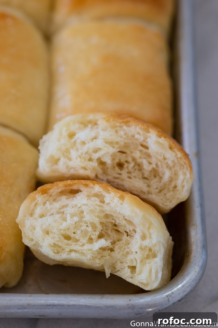 These lion house rolls are tender, soft, and lusciously buttery. They just may be the BEST homemade dinner rolls and they're always a family favorite! #dinnerrolls #breadrecipes #lionhouserolls torn lion house dinner rolls showing inside