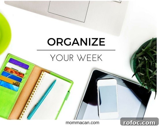 Weekend Menu Plan, Deep Cleaning Checklist & DIY Fairy Garden Guide 2 ORGANIZE YOUR WEEK, MENU PLAN, CLEANING LIST, WEEKLY PLANNING