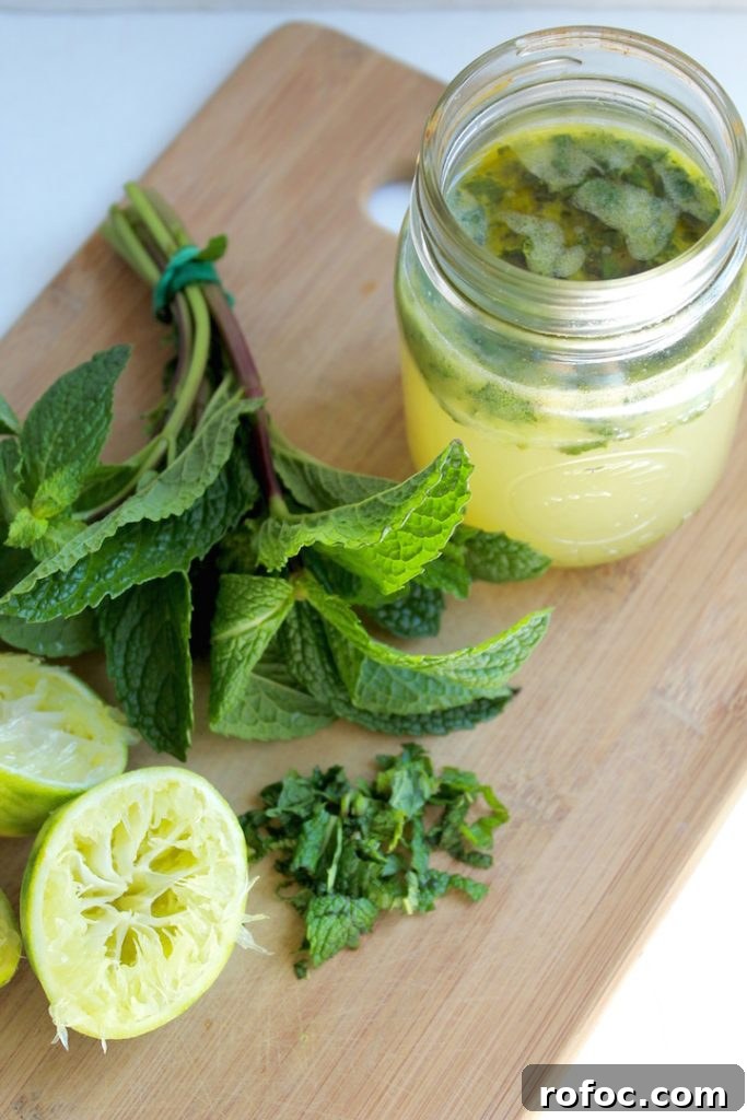 Homemade Mojito Vinaigrette Dressing Recipe for Salads 2 Mojito Vinaigrette Dressing Recipe in Jar with Fresh Mint