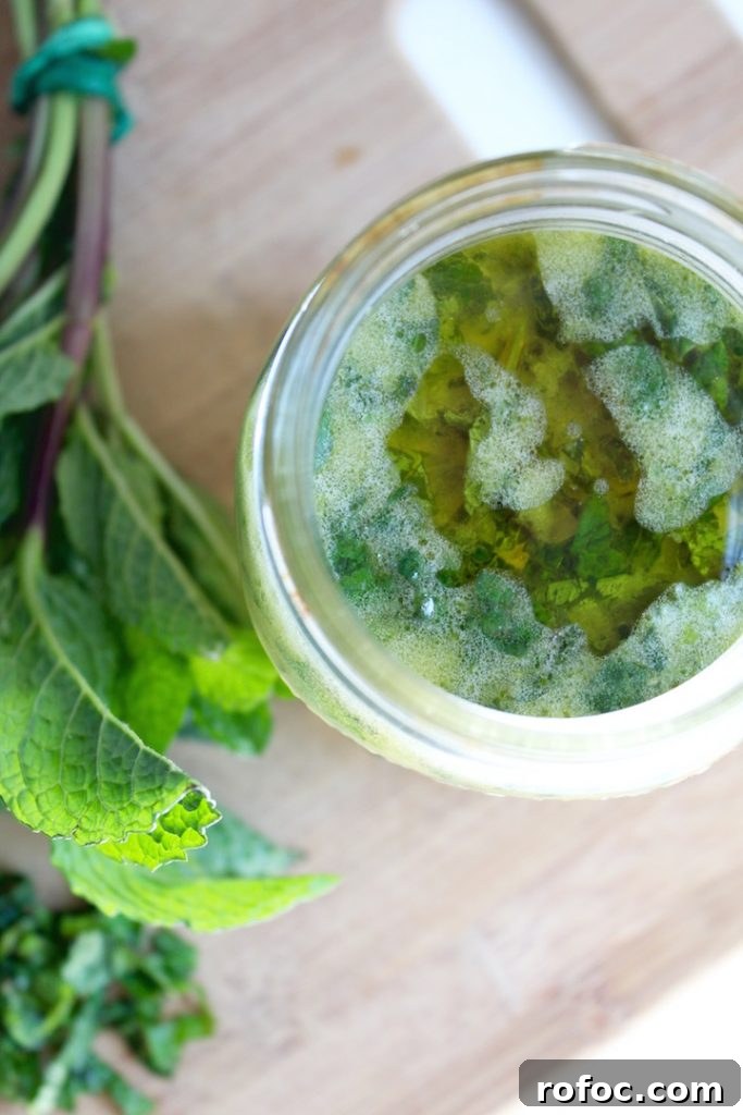 Homemade Mojito Vinaigrette Dressing Recipe for Salads 3 Mojito Vinaigrette Dressing Recipe Overhead Jar