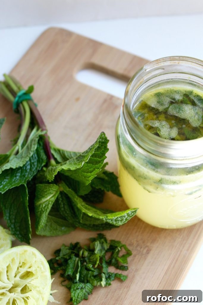 Homemade Mojito Vinaigrette Dressing Recipe for Salads 4 Mojito Vinaigrette Dressing Recipe in Glass Jar