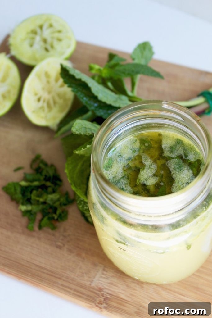 Homemade Mojito Vinaigrette Dressing Recipe for Salads 5 Mojito Vinaigrette Dressing Recipe in Jar with Ingredients