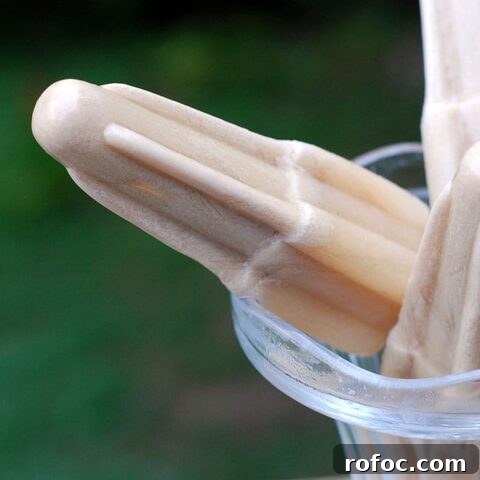 Vegan Vanilla Latte Rocket Pops