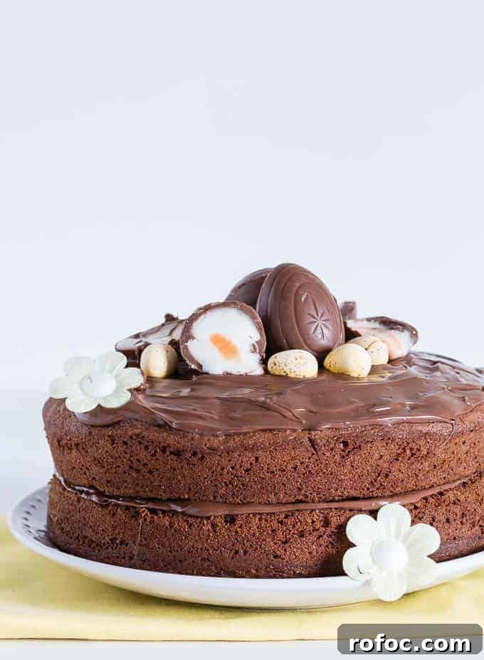 Nutella Crème Egg Cake with Silky Nutella Frosting 2 Easy Nutella Cake topped with nutella frosting and some cadbury creme eggs