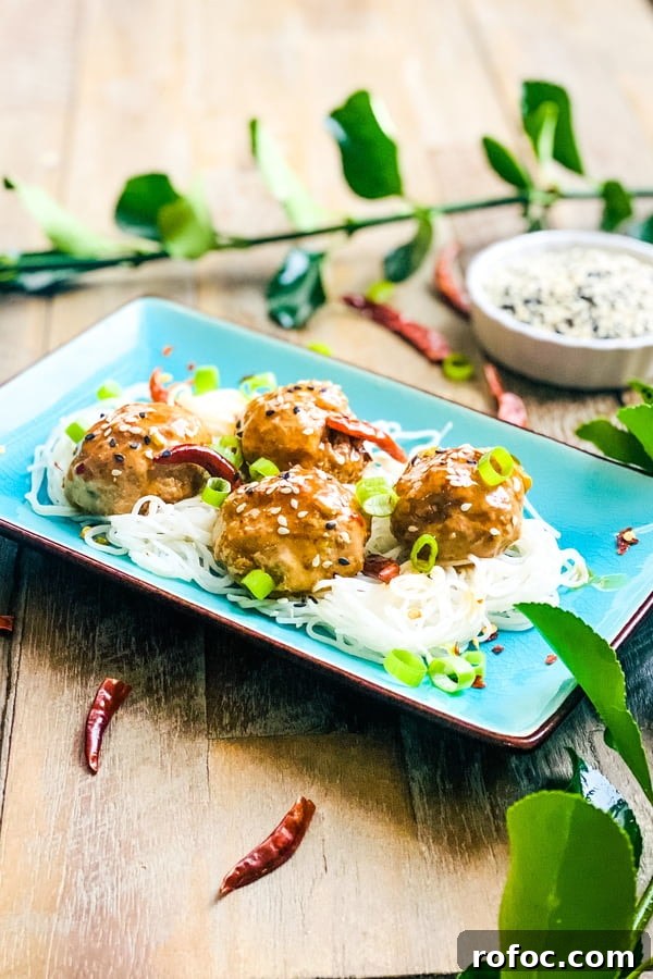 spicy meatballs served over rice noodles