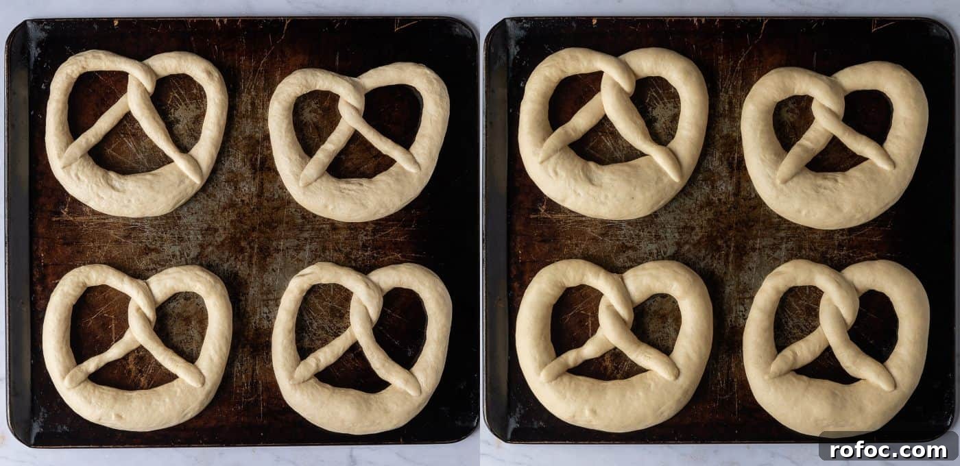 Vegan Soft Beer Pretzels Recipe for Chewy, Flavorful Snacks 4 step 4 - letting the pretzels rise