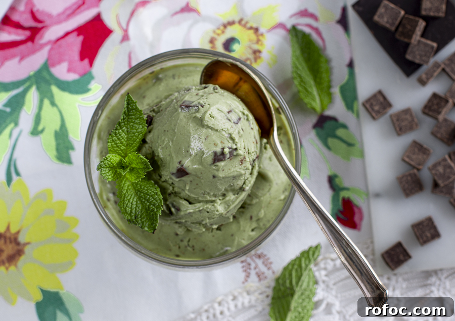 Fourth of July BBQ Recipes: Delicious Grilling Ideas for Independence Day 22 Mint Chip Vegan Ice Cream