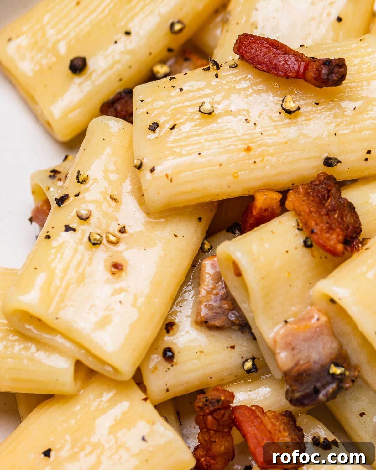Rigatoni alla Gricia Recipe: Classic Roman Pork-Bacon Pasta 7 Closeup shot of rigatoni alla gricia in white plate.