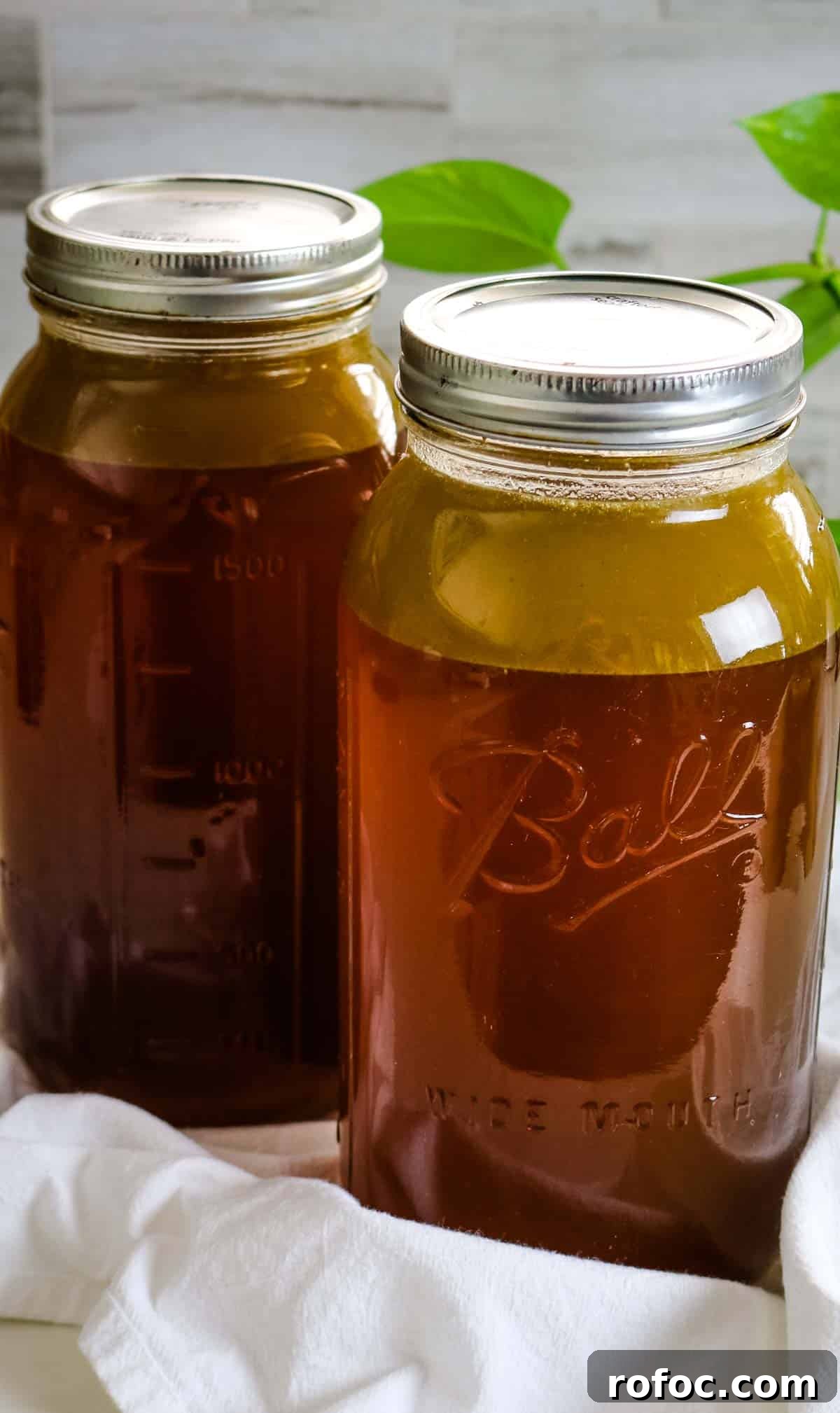 Rich Homemade Beef Bone Broth Recipe for Deep Flavor and Nutrition 2 jarred beef bone broth