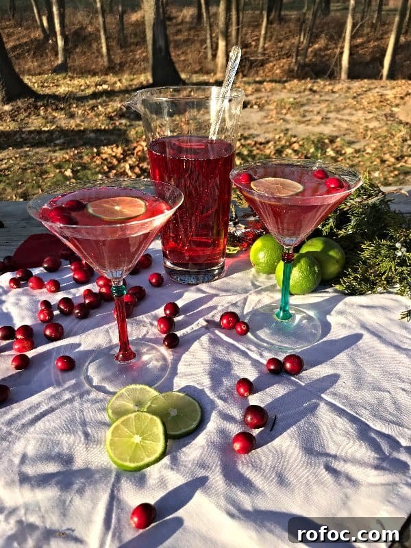Classic Cosmopolitan Cocktail Recipe: How to Make It at Home 2 img 1459 1