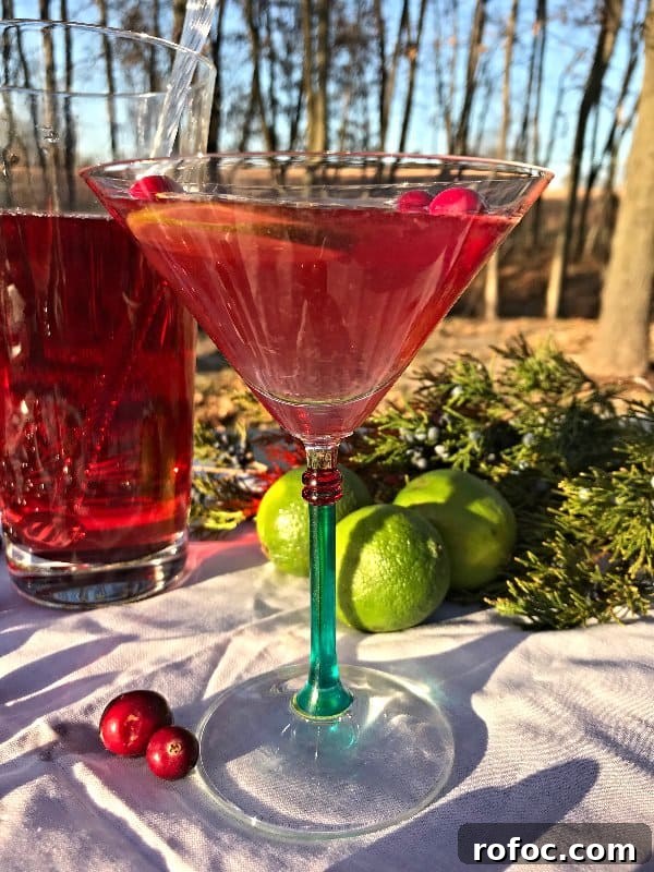 Classic Cosmopolitan Cocktail Recipe: How to Make It at Home 4 The Classic Cosmopolitan shown from the side with a pitcher of the cocktail