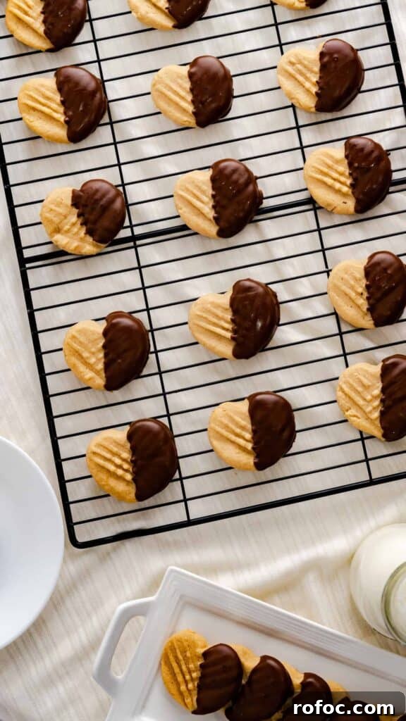 Heart-Shaped Peanut Butter Cookies Recipe for Valentine’s Day 2 Heart shaped peanut butter cookies dipped in chocolate and set on a black cooling rack.