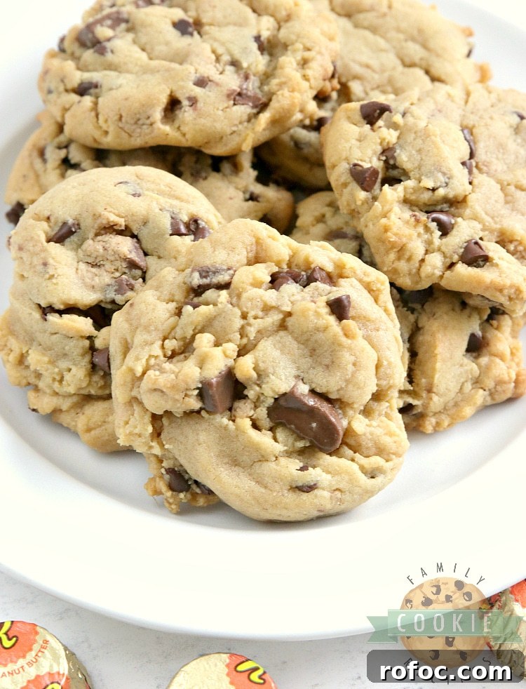 Candy Bar Cookie Recipes: Homemade Treats with Chocolate Bars 2 Reese's Peanut Butter Pudding Cookies