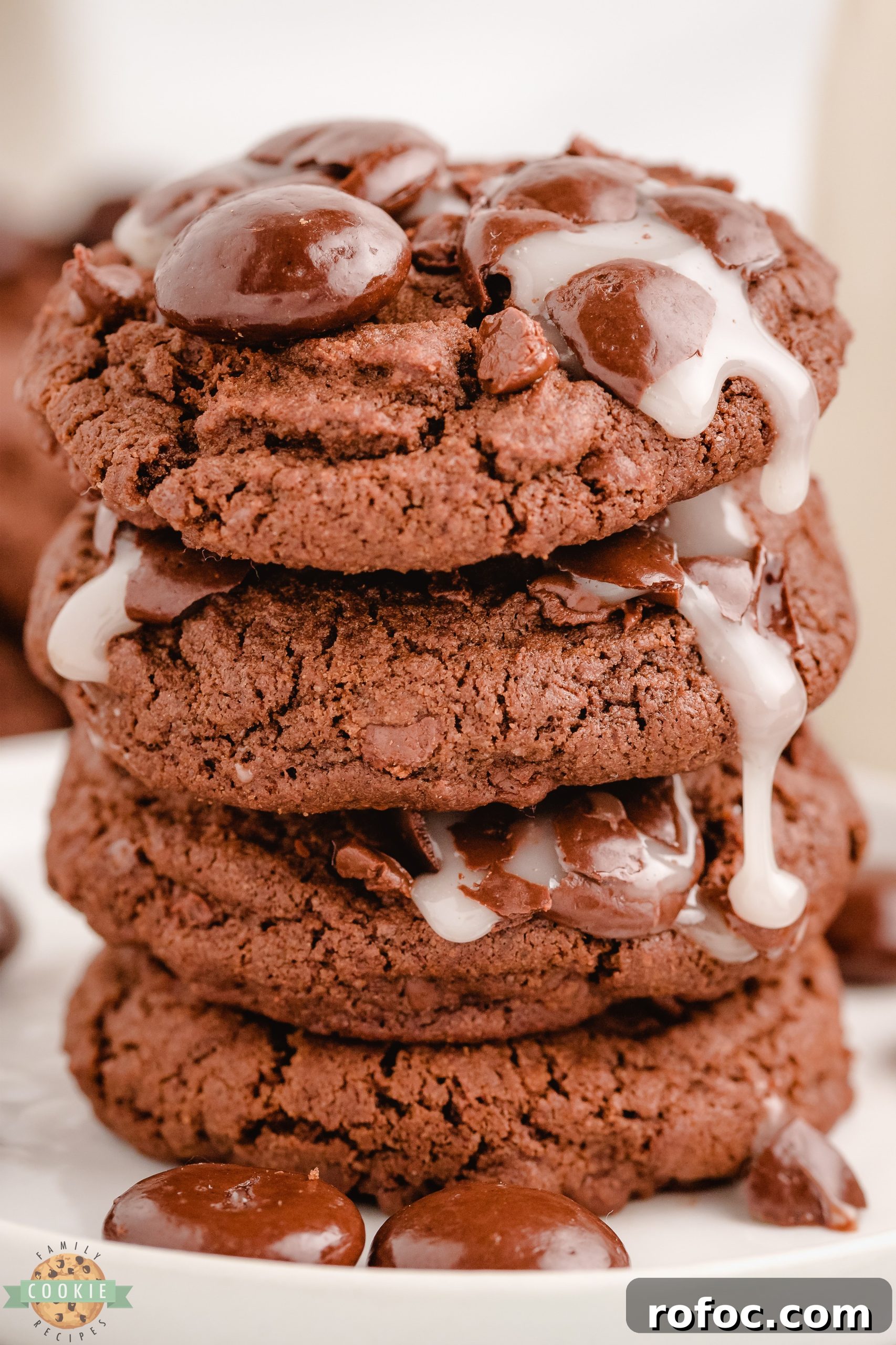 Candy Bar Cookie Recipes: Homemade Treats with Chocolate Bars 7 Chocolate Junior Mint Cookies