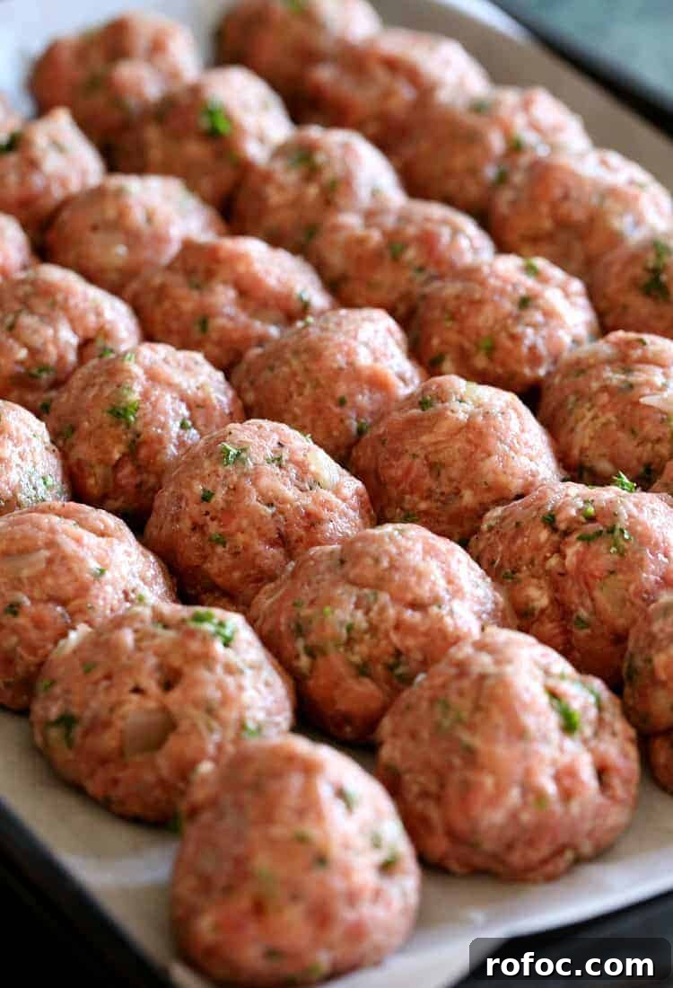 Sunday-Style Grandma’s Meatballs with Savory Tomato Sauce 4 Grandma's Sunday Meatballs and Sauce - meatballs on the tray