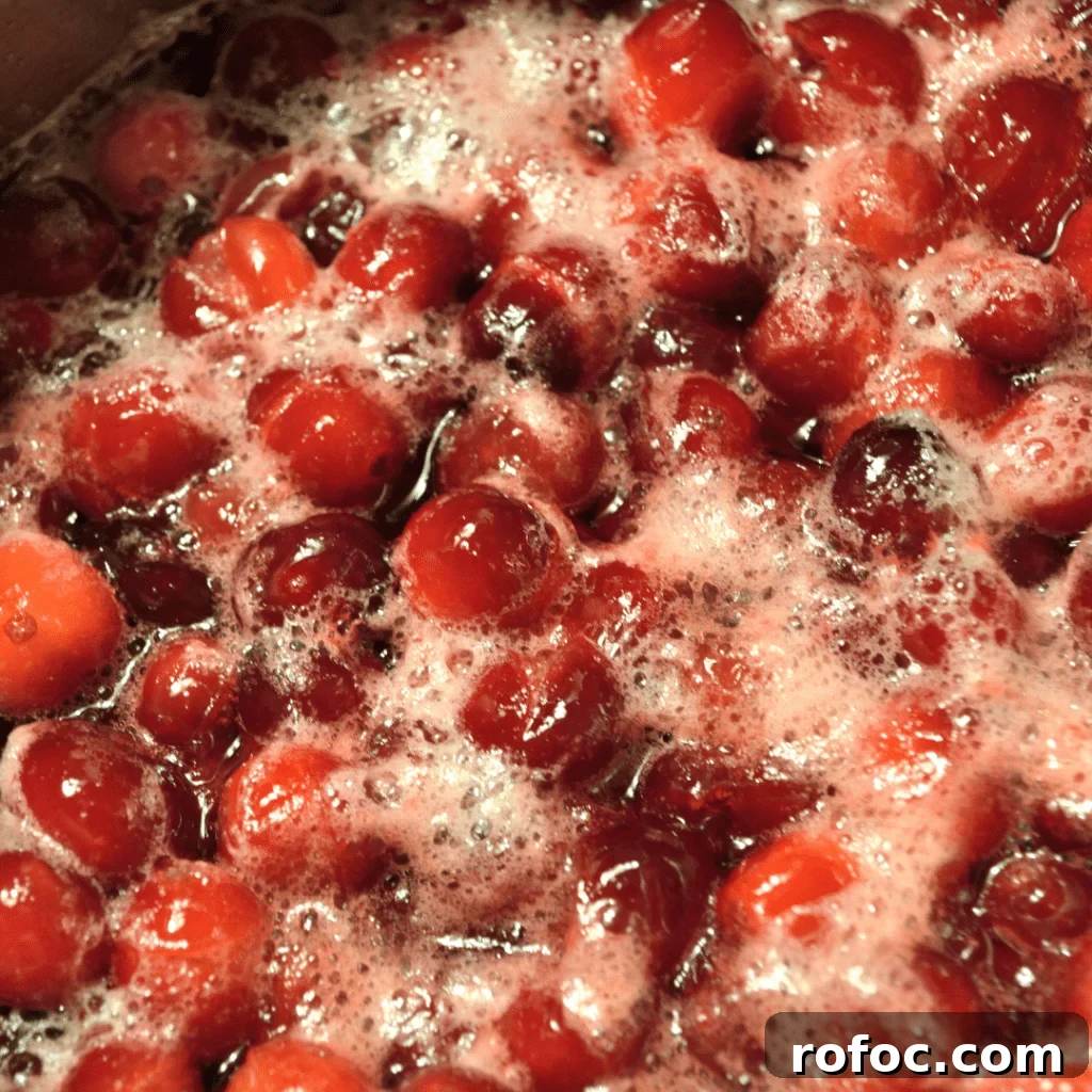 Old-Fashioned Cranberry Sauce from Scratch — Simple Homemade Recipe 4 cranberry sauce cooking in pot