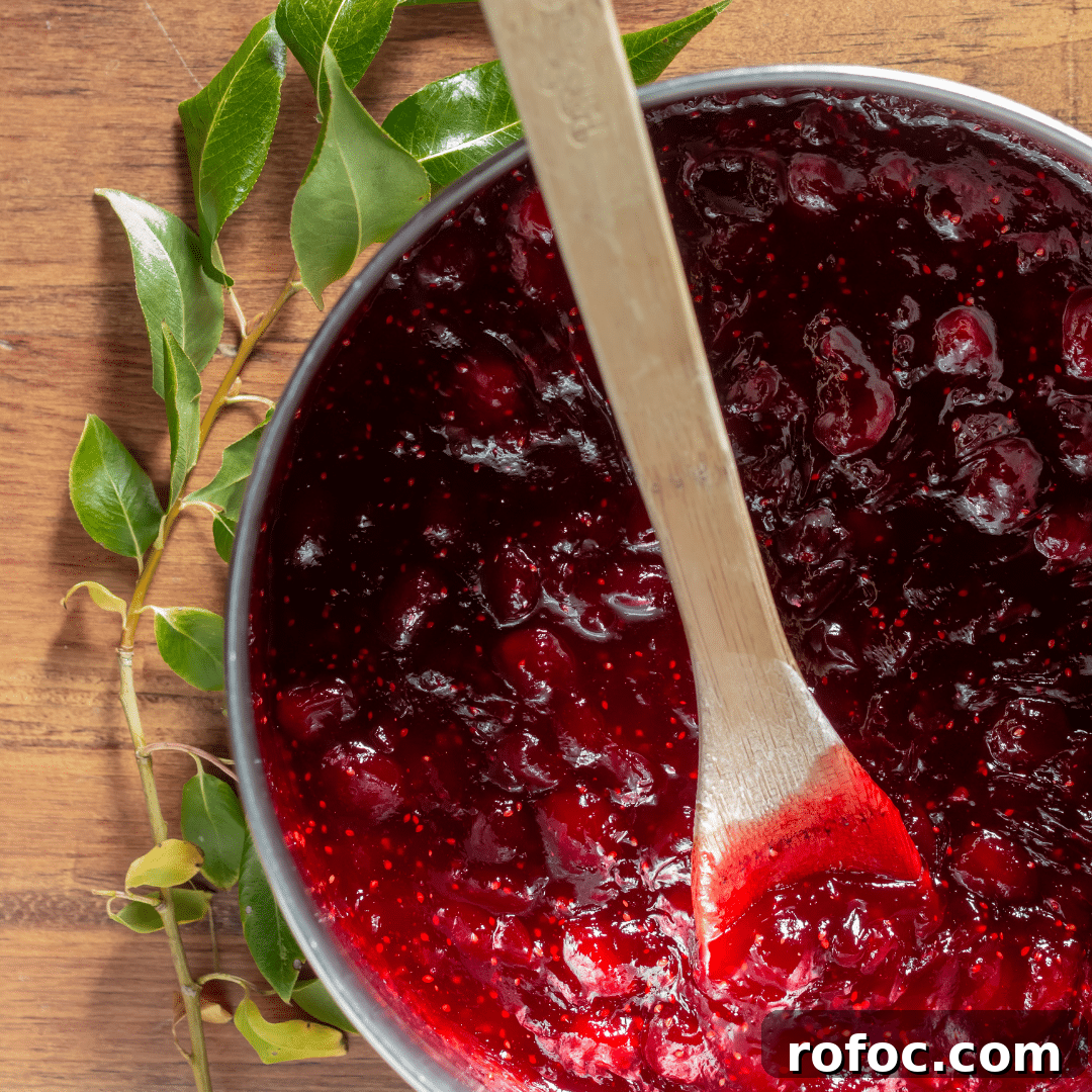 cranberry sauce