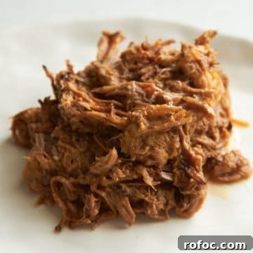 Pulled pork on a white plate.