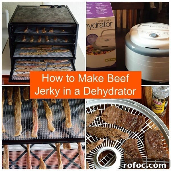 Steakhouse Dry Rub Beef Jerky Recipe 10 Learn how to make Beef Jerky in a dehydrator. It's easy, fast, and delicious! | Jerkyholic.com