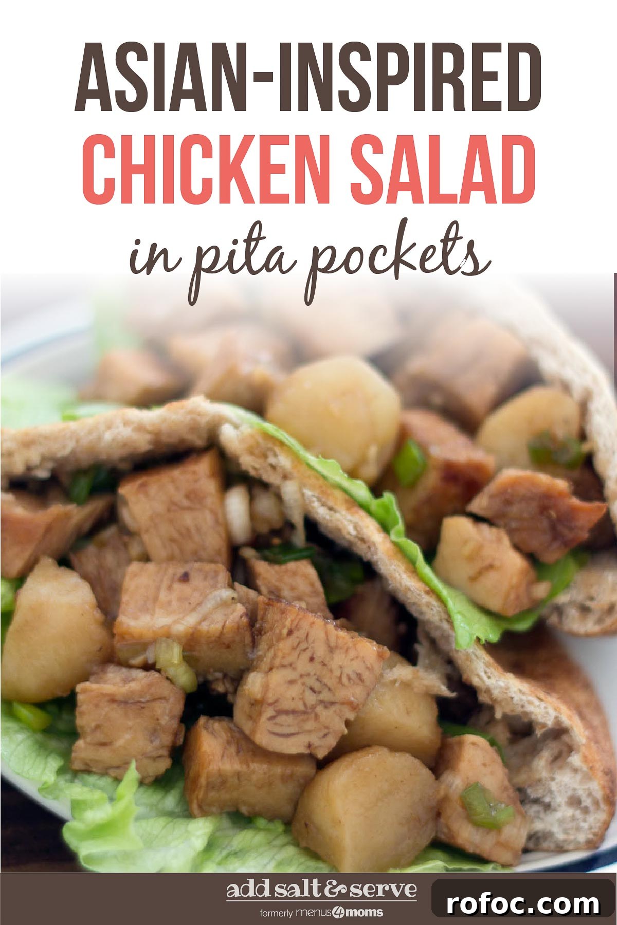 Asian Chicken Pita Pockets with Tangy Sesame-Ginger Sauce 4 Diced chicken in a lettuce-lined pita on a white plate with text Asian-Inspired Chicken Salad in Pita Pockets - Add Salt & Serve logo