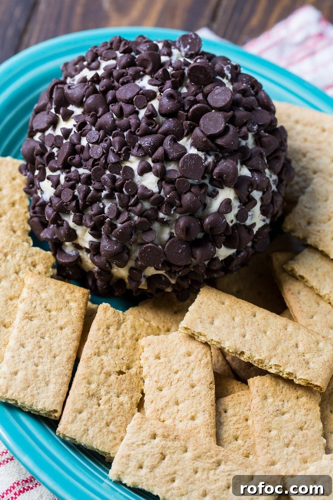 Chocolate Chip Cheese Ball- serve with graham crackers for a delicious party appetizer