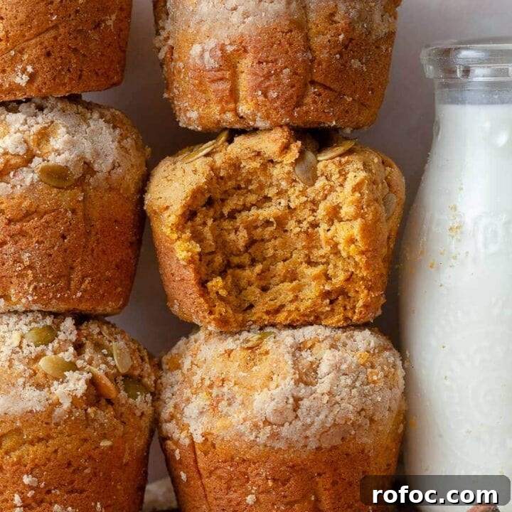 Image for Gluten Free Pumpkin Muffin Recipe