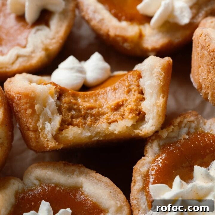 mini pumpkin pies with a bite taken out