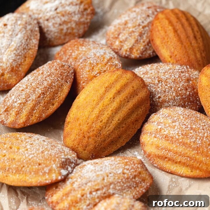Gluten Free Pumpkin Madeleines topped with powdered sugar