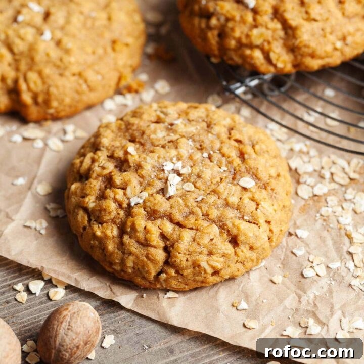 Image for Gluten Free Pumpkin Oatmeal Cookies