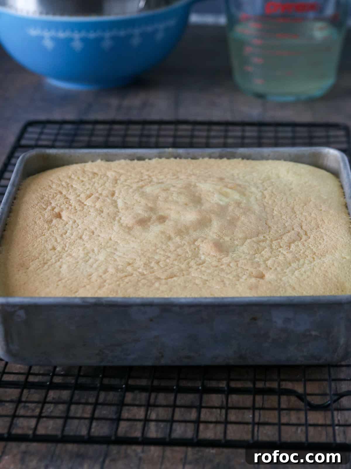 Creamy Fruit Custard Dessert Recipe 6 Crema de Fruta baked in an aluminum pan
