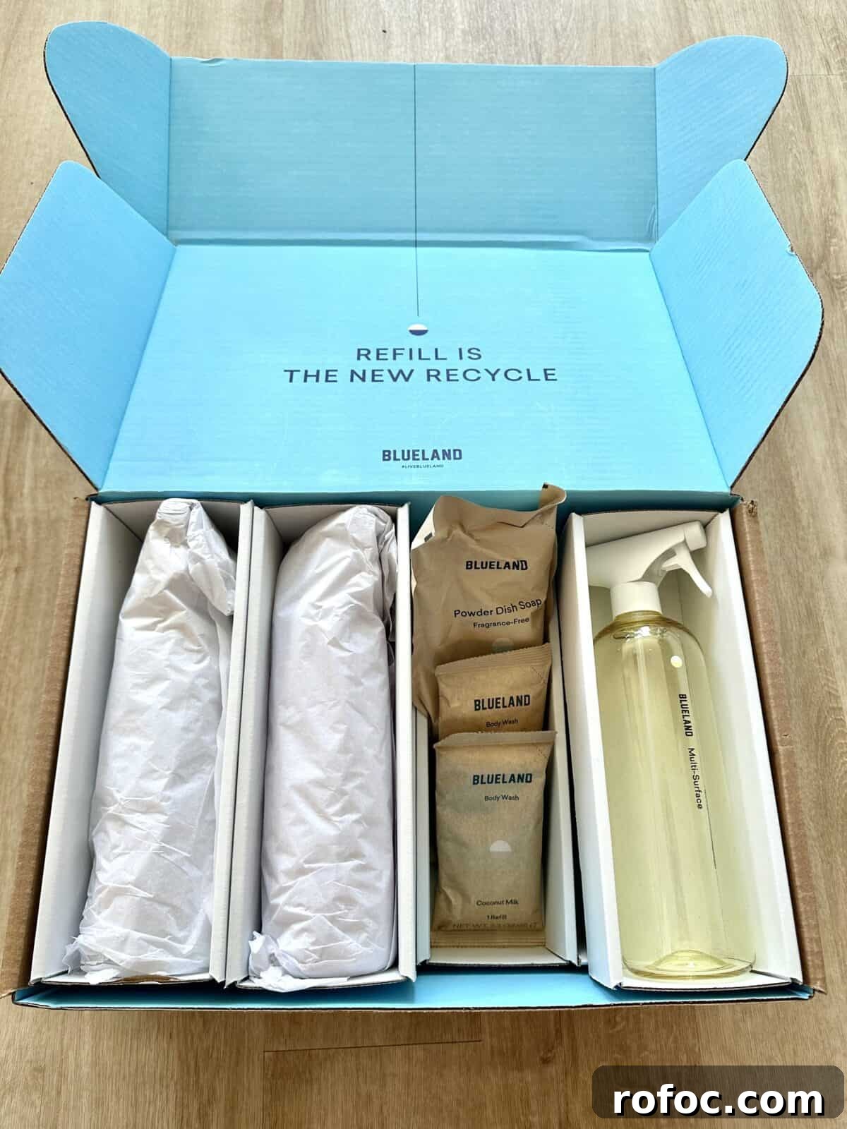 Blueland Review: Are Their Cleaning Products Effective, Safe, and Eco-Friendly? 2 Blueland products