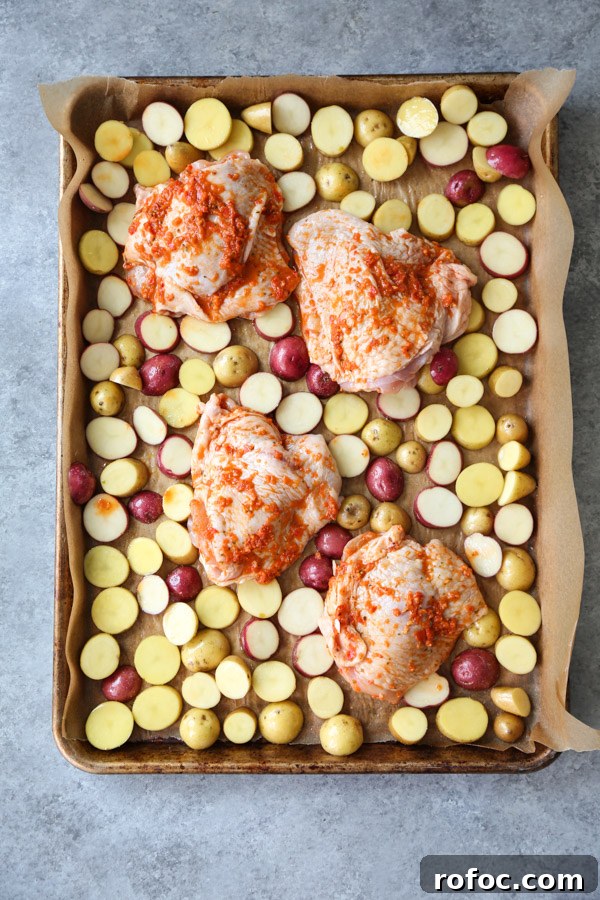 Portuguese Piri-Piri Chicken Thighs with Roasted Potatoes 6 Portuguese chicken covered in peri peri sauce on a sheet pan with potatoes