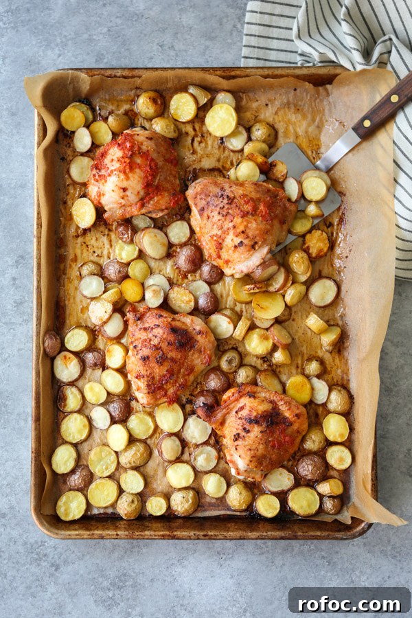 Portuguese Piri-Piri Chicken Thighs with Roasted Potatoes 7 Portuguese Chicken and Potatoes covered in peri peri sauce on a sheet pan with spatula