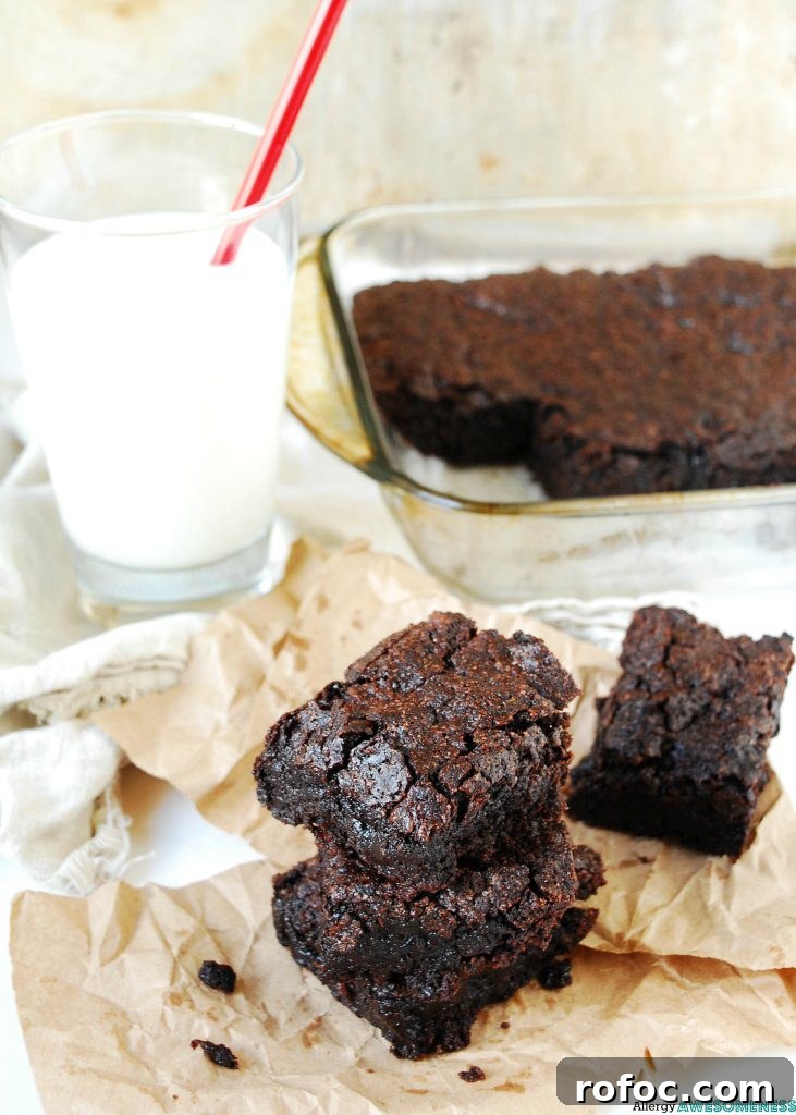 Allergy-Friendly Gluten-Free Vegan Brownies (Dairy & Egg Free) 2 Chewy allergy friendly brownies. Dessert recipe by AllergyAwesomeness.com