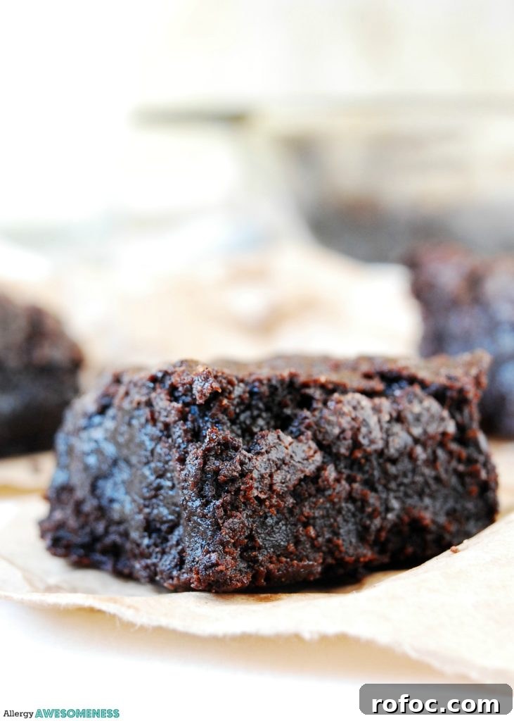Allergy-Friendly Gluten-Free Vegan Brownies (Dairy & Egg Free) 5 Fudgy vegan brownies. Dessert recipe by AllergyAwesomeness.com