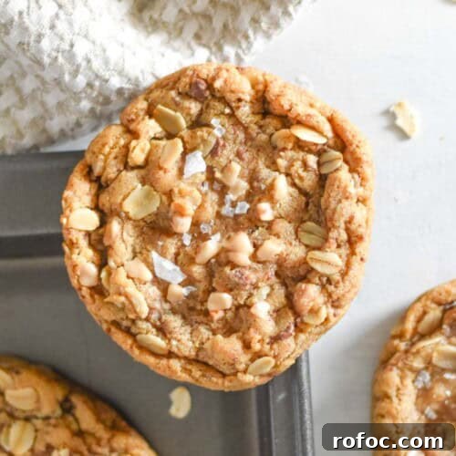 oatmeal cookie on corner of baking sheet.