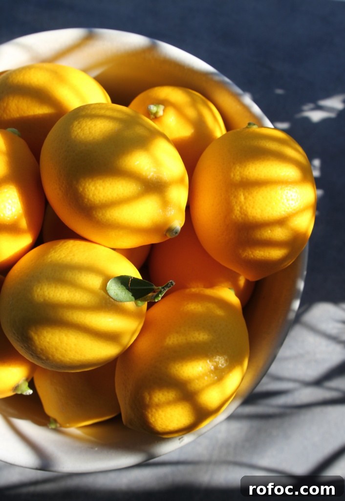 How to Make Preserved Lemons at Home: Simple Step-by-Step Guide 2 preserved lemons